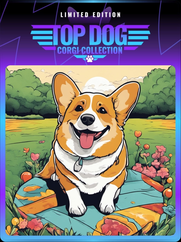 Top Dog Corgi #442