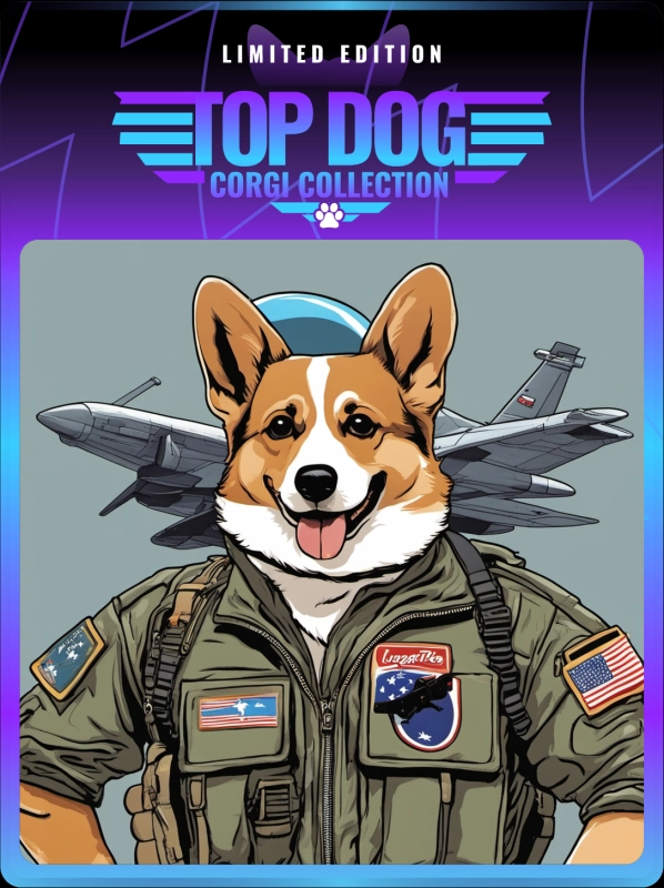 Top Dog Corgi #465