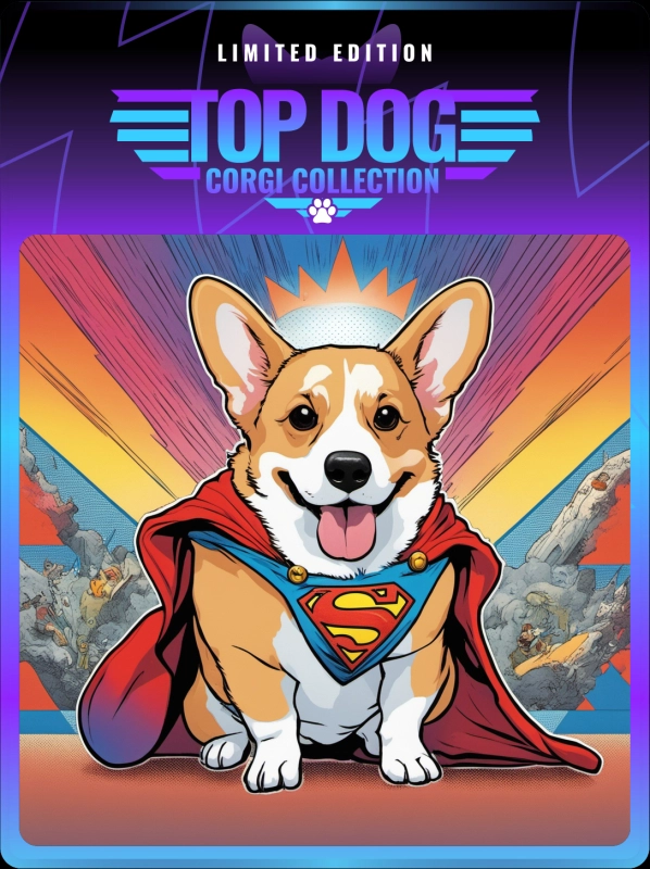 Top Dog Corgi #48