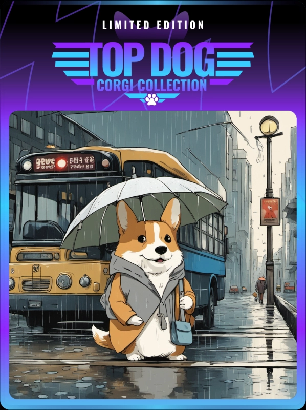 Top Dog Corgi #5