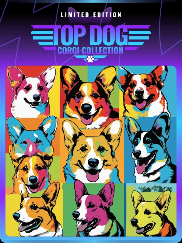 Top Dog Corgi #519