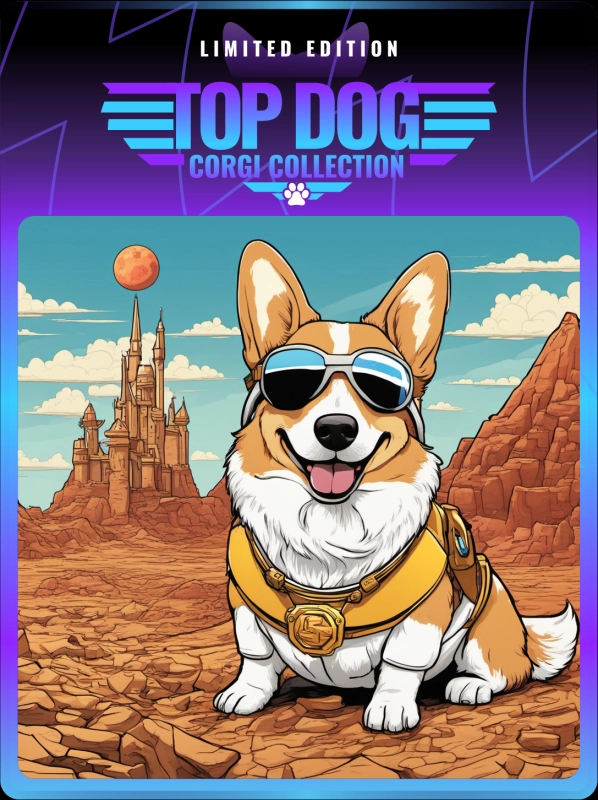 Top Dog Corgi #555