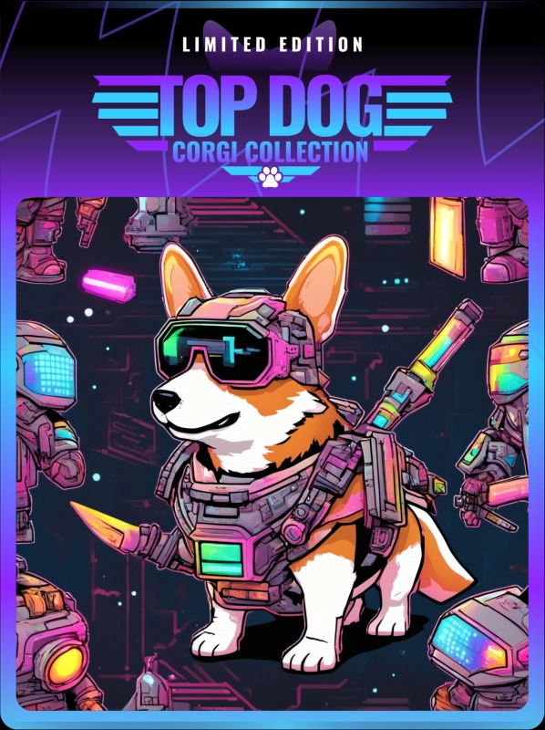 Top Dog Corgi #56