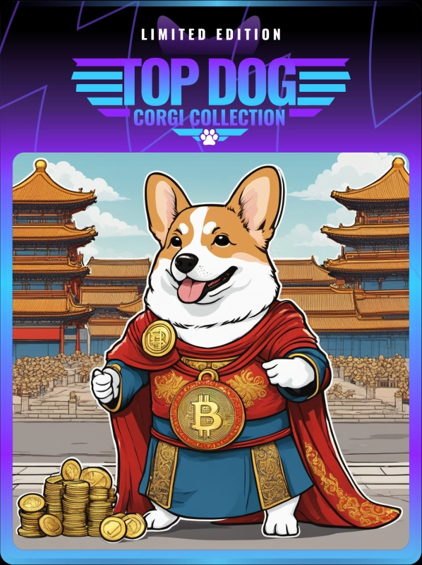 Top Dog Corgi #579