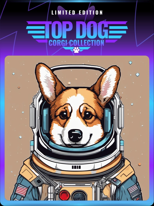 Top Dog Corgi #590