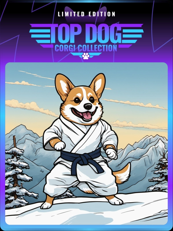 Top Dog Corgi #6