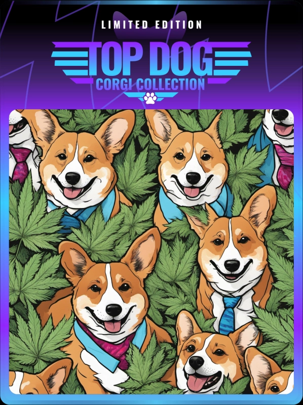 Top Dog Corgi #618