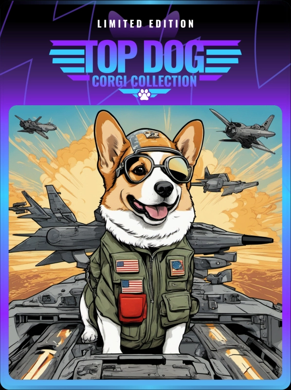 Top Dog Corgi #644