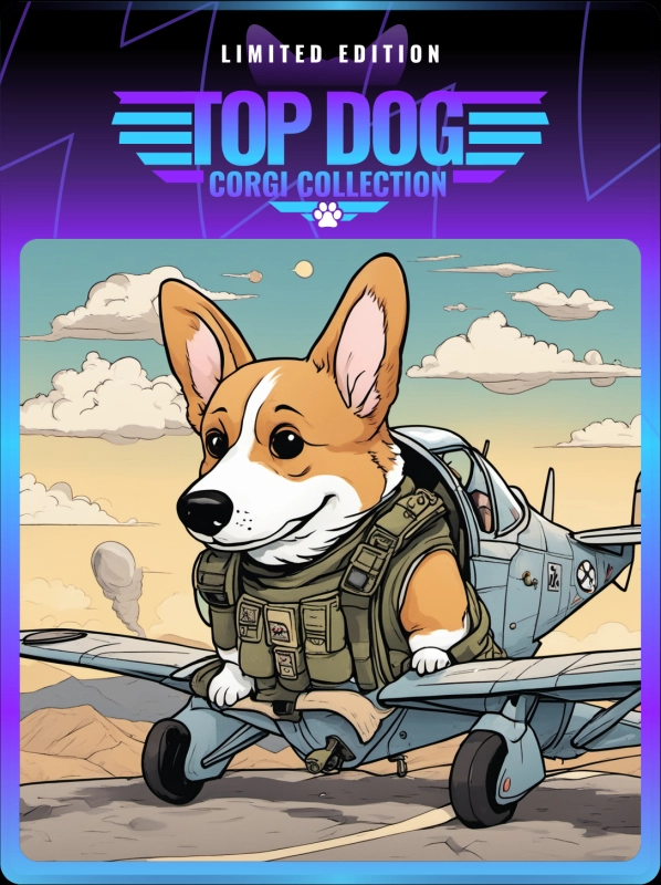 Top Dog Corgi #65