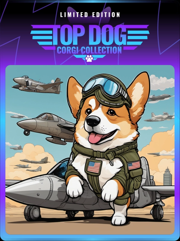 Top Dog Corgi #663