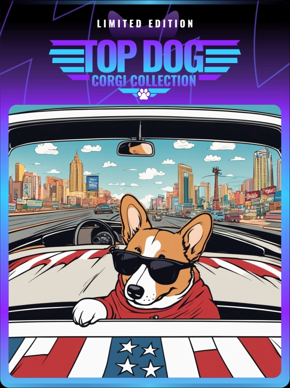 Top Dog Corgi #68