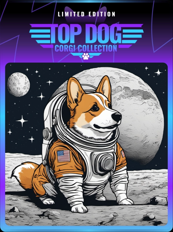 Top Dog Corgi #69