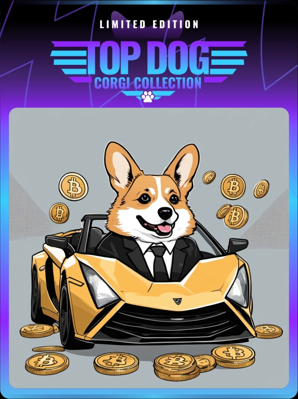 Top Dog Corgi #70