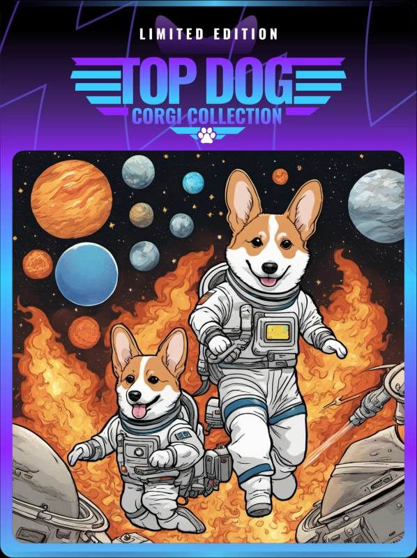Top Dog Corgi #73