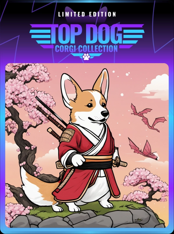 Top Dog Corgi #74