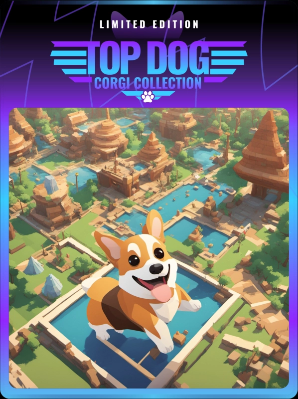 Top Dog Corgi #743