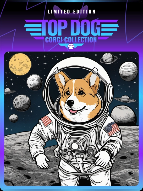Top Dog Corgi #75