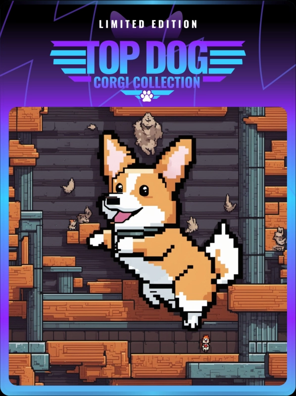 Top Dog Corgi #757