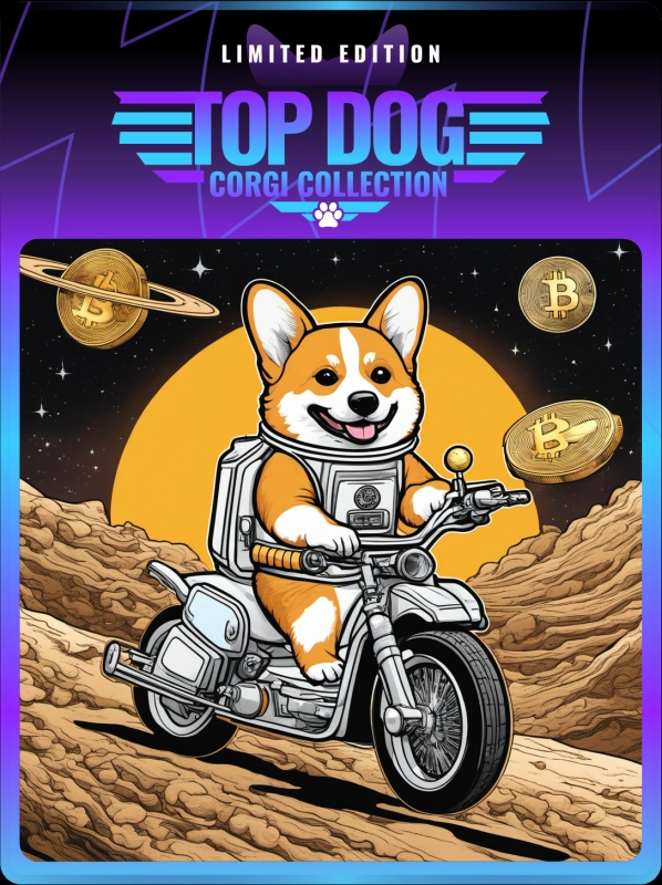 Top Dog Corgi #768