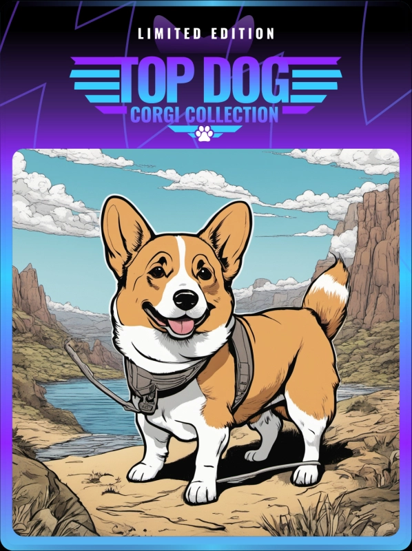 Top Dog Corgi #79