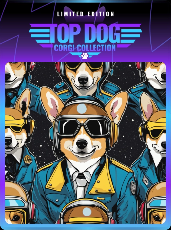 Top Dog Corgi #873