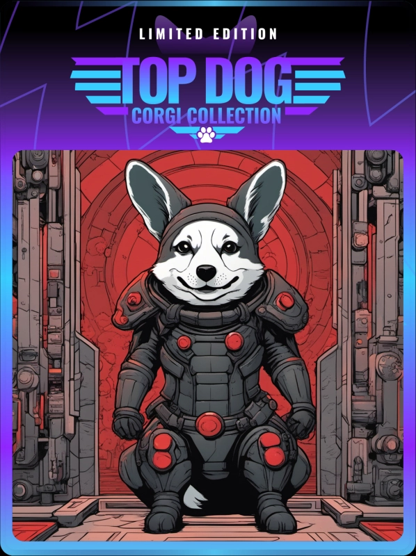 Top Dog Corgi #889