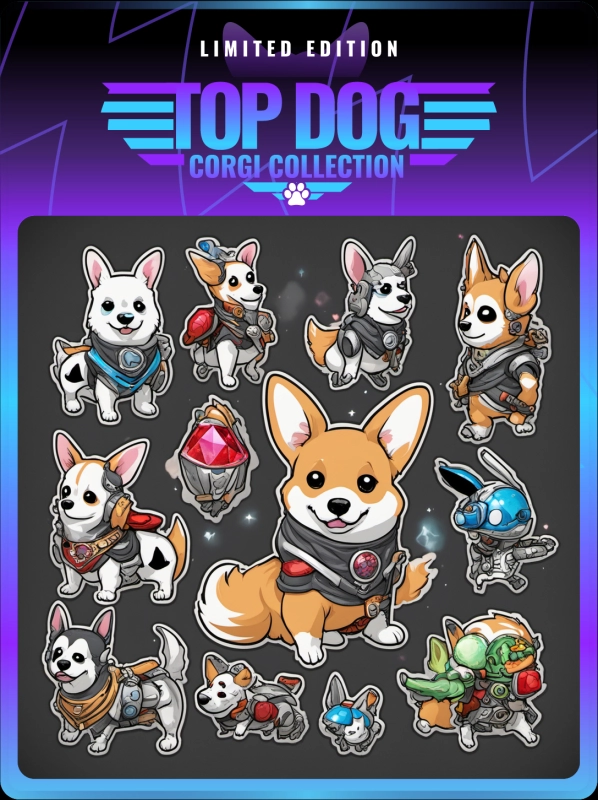 Top Dog Corgi #957