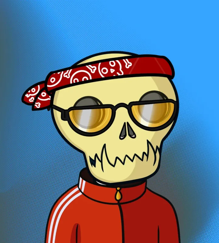 CroSkulls #4533