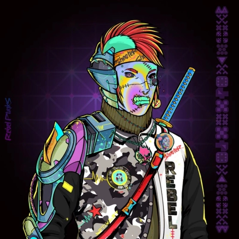 Rebel Punk #1496