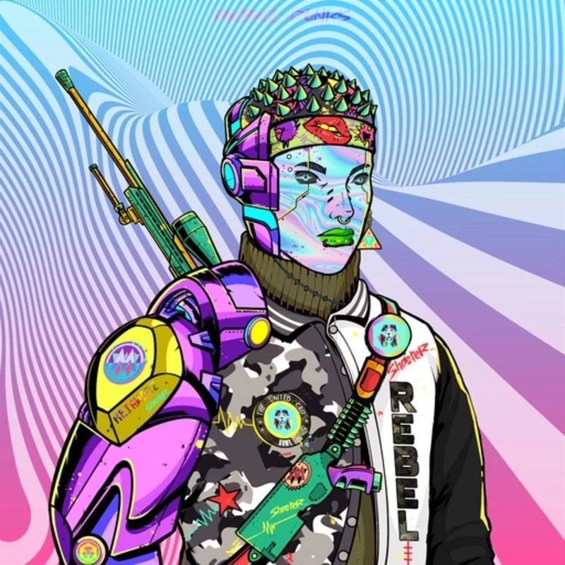 Rebel Punk #1627