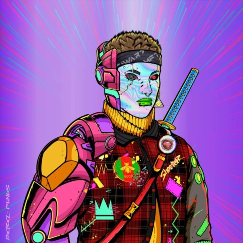 Rebel Punk #2380