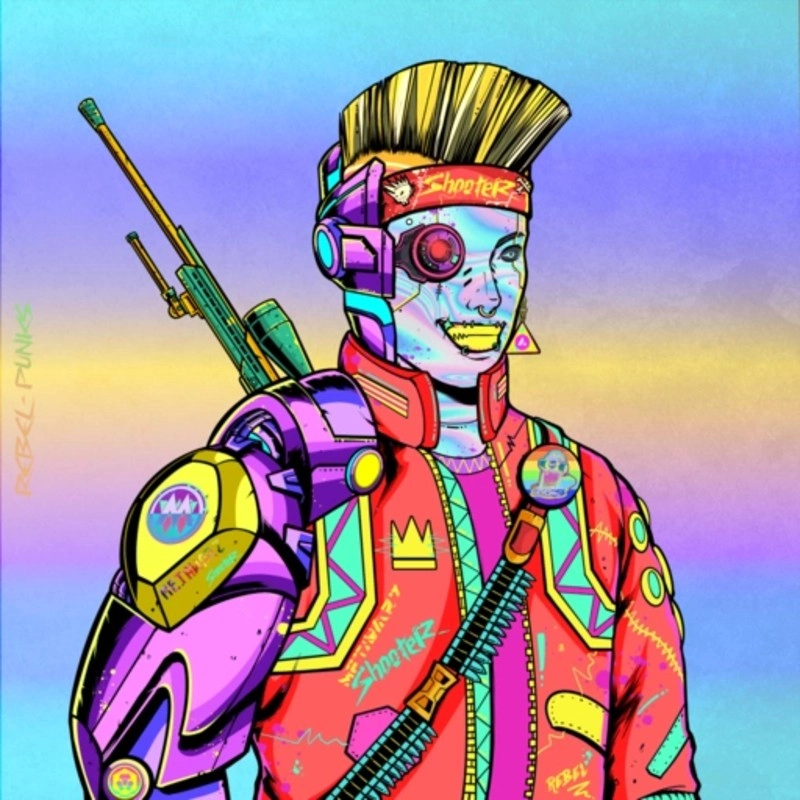 Rebel Punk #2451