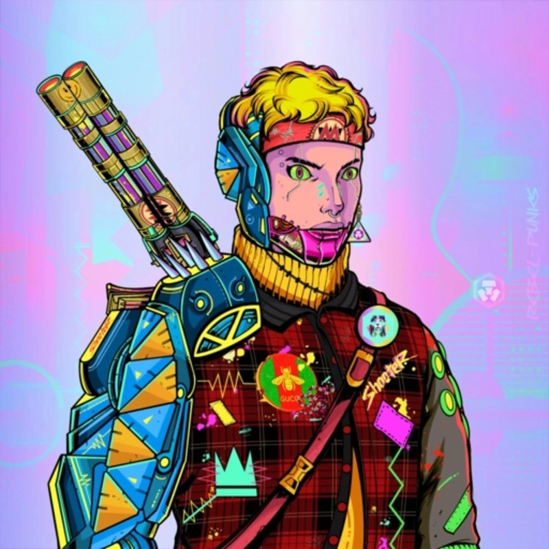 Rebel Punk #2756