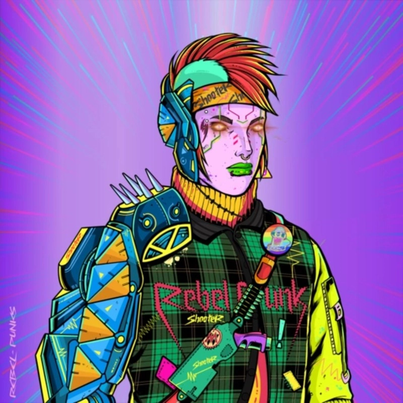 Rebel Punk #2773