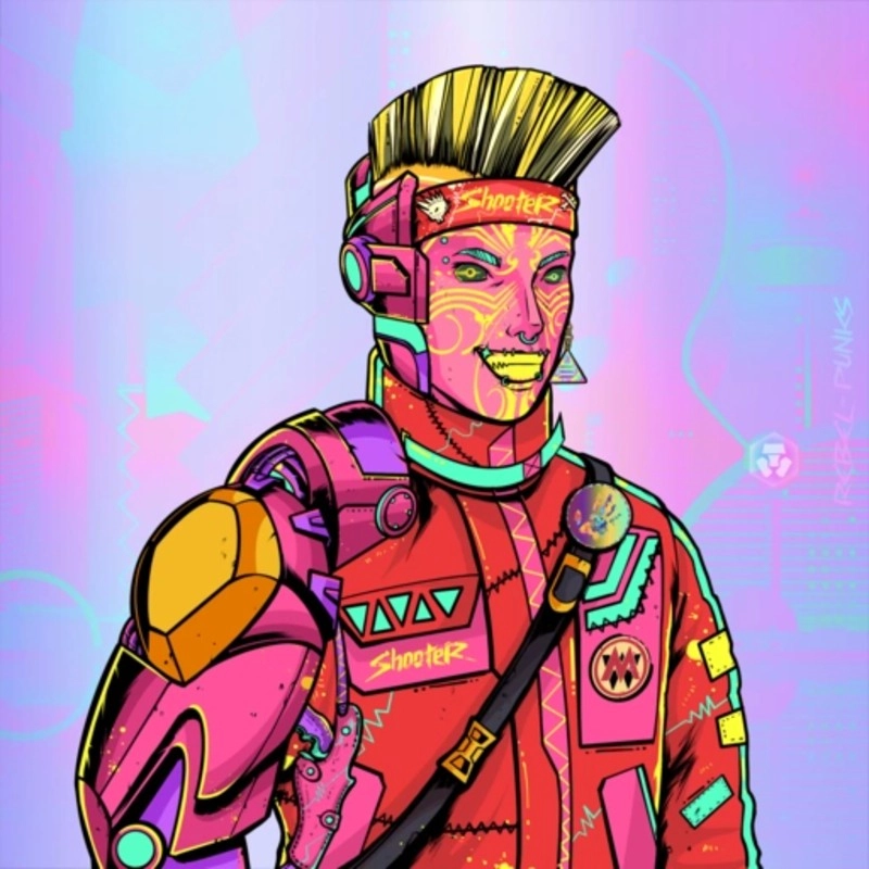 Rebel Punk #3402