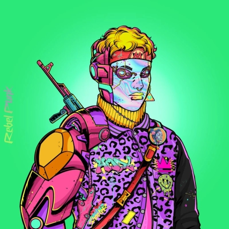 Rebel Punk #3404