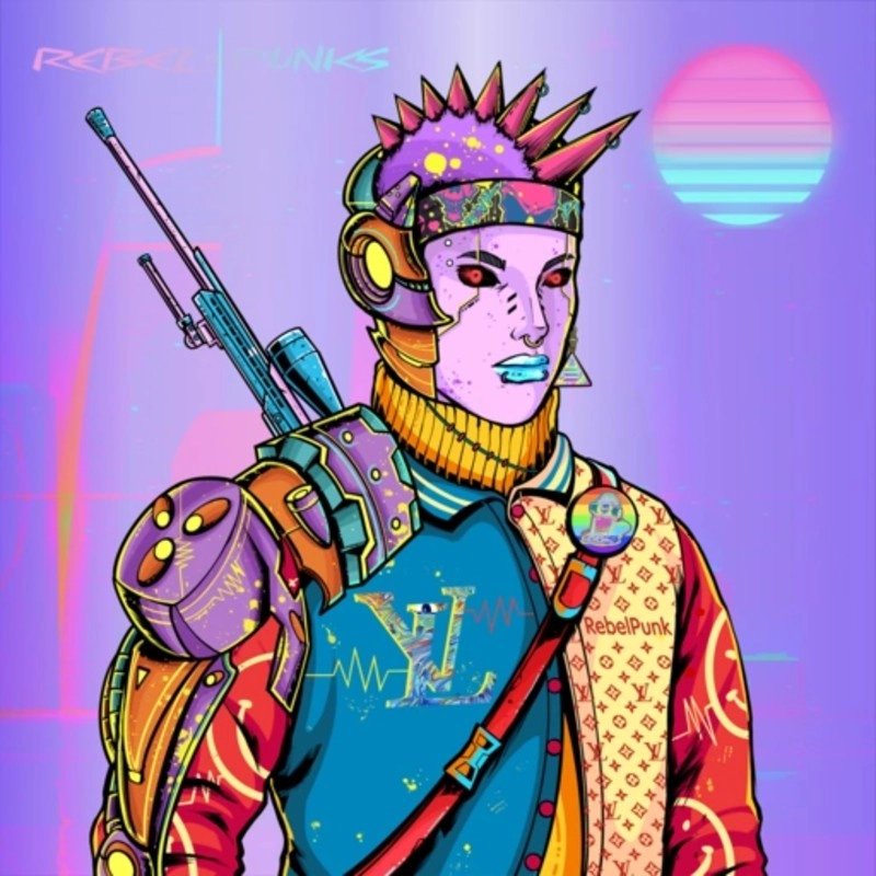 Rebel Punk #3455