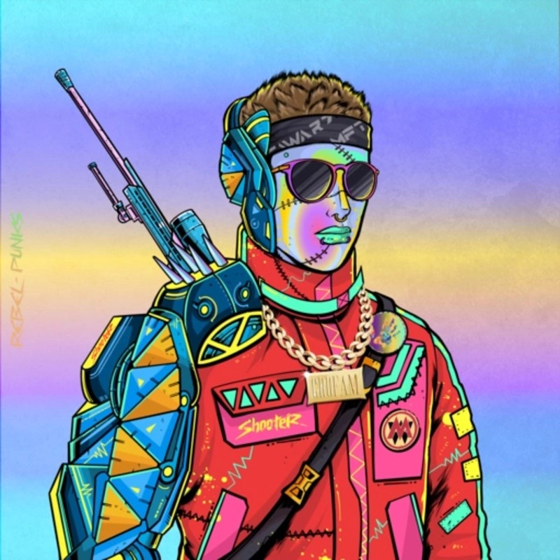 Rebel Punk #4355
